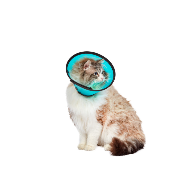 SMART COLLAR™